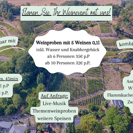 Ferienhaus Traminer Im Weinberg Freyburg Exterior foto