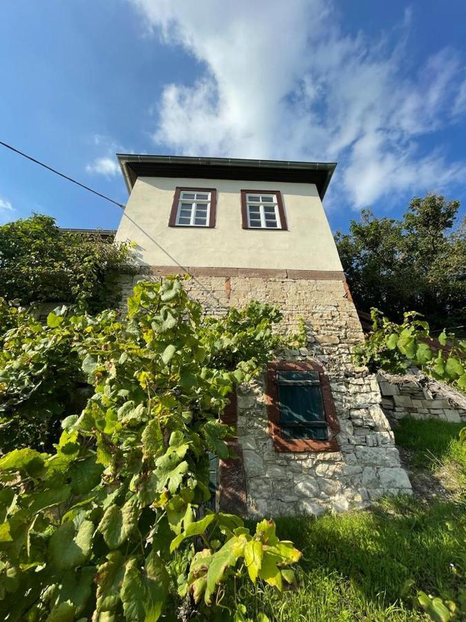 Ferienhaus Traminer Im Weinberg Freyburg Exterior foto