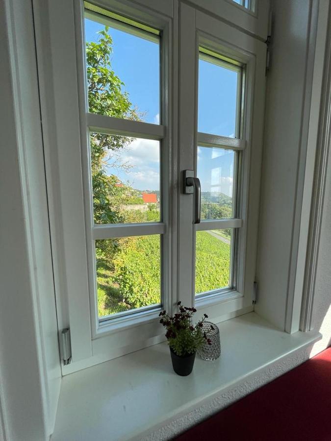 Ferienhaus Traminer Im Weinberg Freyburg Exterior foto