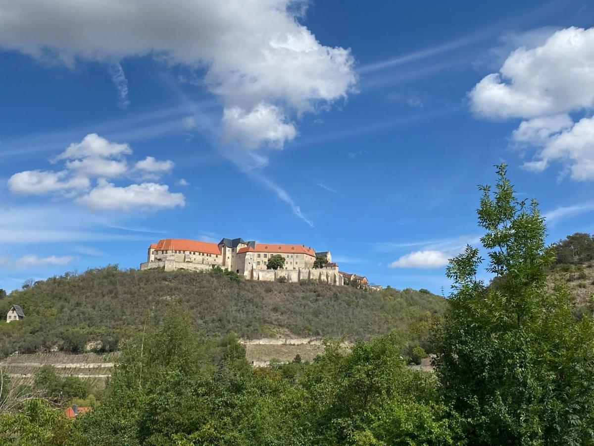 Ferienhaus Traminer Im Weinberg Freyburg Exterior foto