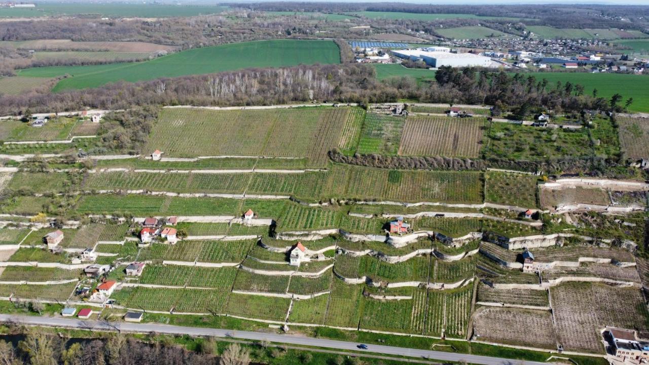 Ferienhaus Traminer Im Weinberg Freyburg Exterior foto