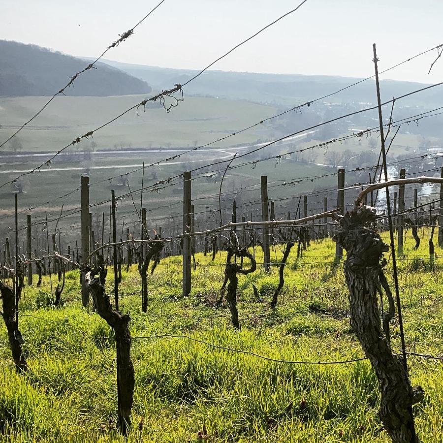 Ferienhaus Traminer Im Weinberg Freyburg Exterior foto