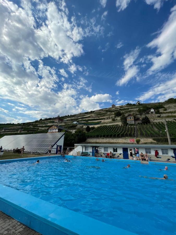 Ferienhaus Traminer Im Weinberg Freyburg Exterior foto